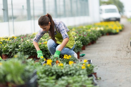 Beautifully landscaped garden in Barbican showcasing professional gardening services