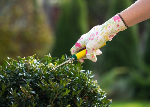 Lush green garden maintained by professional services in Barbican