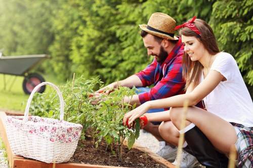 Effective weed control in vibrant garden