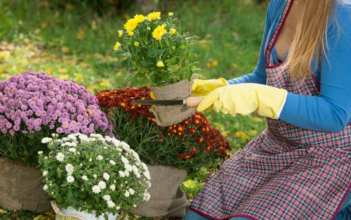 Expert gardener designing a vibrant outdoor space in Barbican