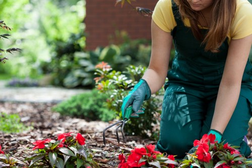 Request a quotation for gardening services