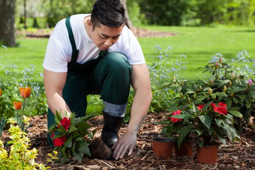 Happy homeowner enjoying their revitalized garden