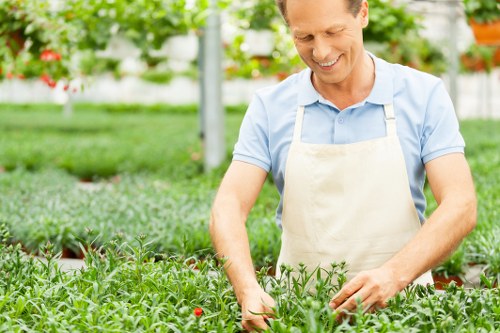 Gardener performing routine maintenance in a compact city garden