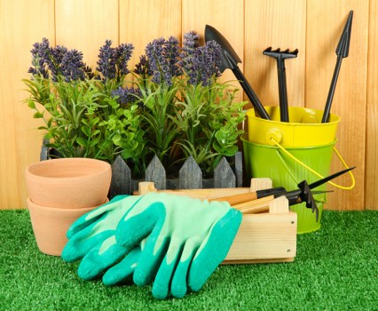 Professional trimming and pruning services